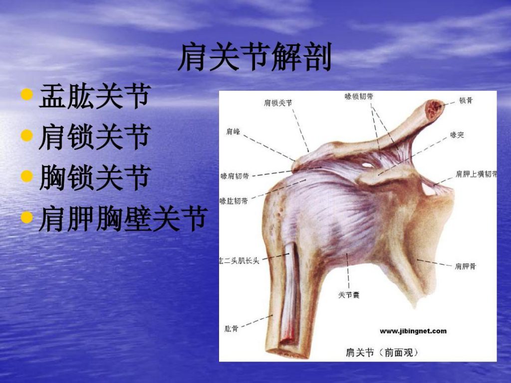 肩锁关节脱位的诊断与治疗体会