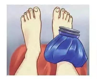 踝关节