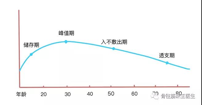 各个年龄段骨质问题