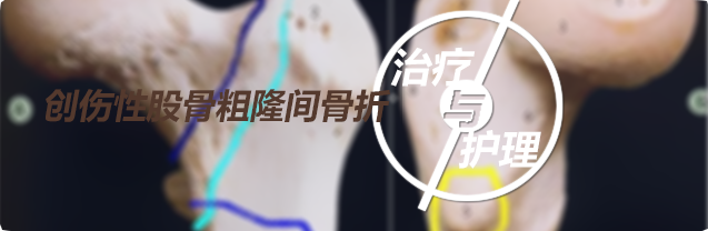 创伤性股骨粗隆间骨折治疗与护理