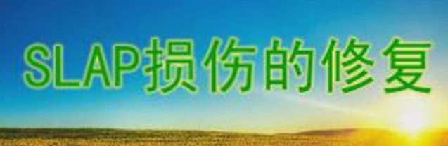 SLAP损伤修复