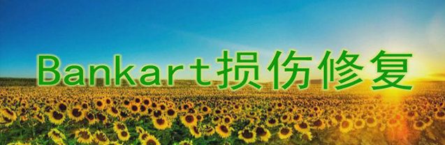 Bankart损伤修复