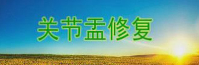 关节盂修复