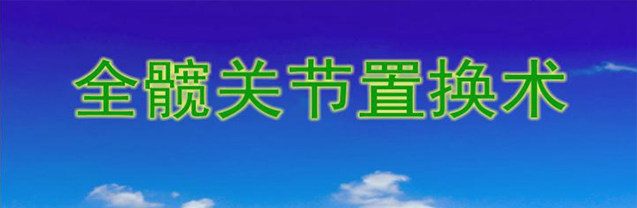 全髋关节置换术