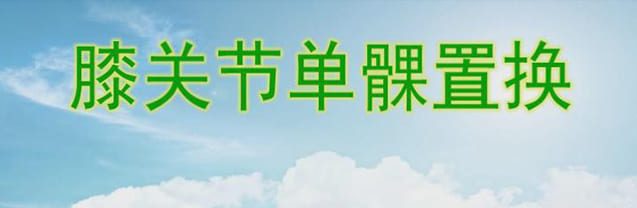 膝关节单髁置换