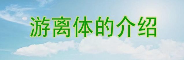 游离体的介绍