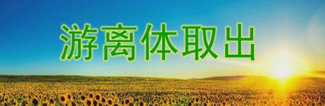 游离体取出
