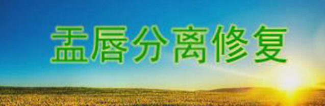盂唇分离修复