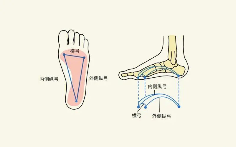 跑步膝盖痛？90%人忽略的真相问题竟出在脚底的三座桥-图片1