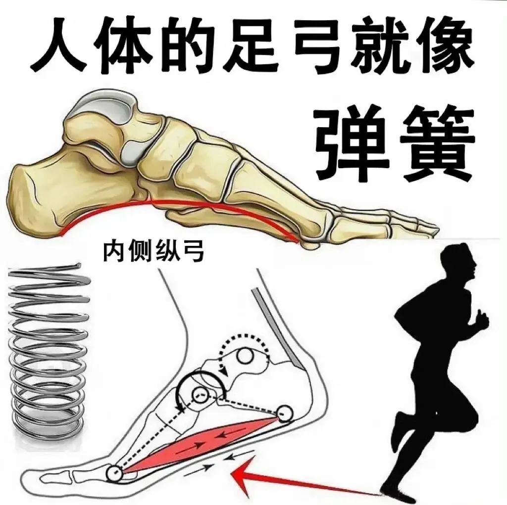 跑步膝盖痛？90%人忽略的真相问题竟出在脚底的三座桥-图片2
